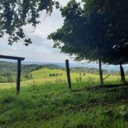 20210821_Haustuer (2)