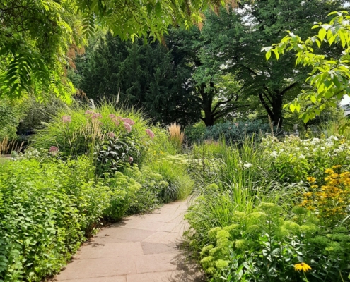 Stadthallengarten Staudenbeet