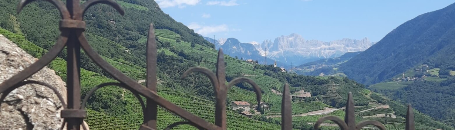 Blick über die Weinberge um Bozen zu den drei Zinnen in den Dolomiten