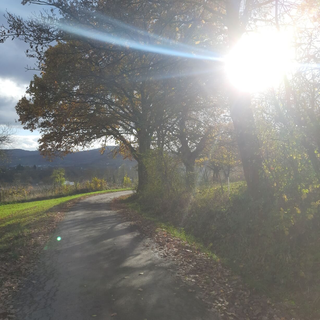 Herbstsonne über Witzenhausen