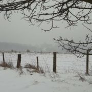 Winterwanderung zum Waldhotel Elfbuchen