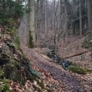 20250209_211737_1 Wanderweg im Firnsbachtal