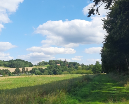 Blick auf die Sababurg im Donnebachtal