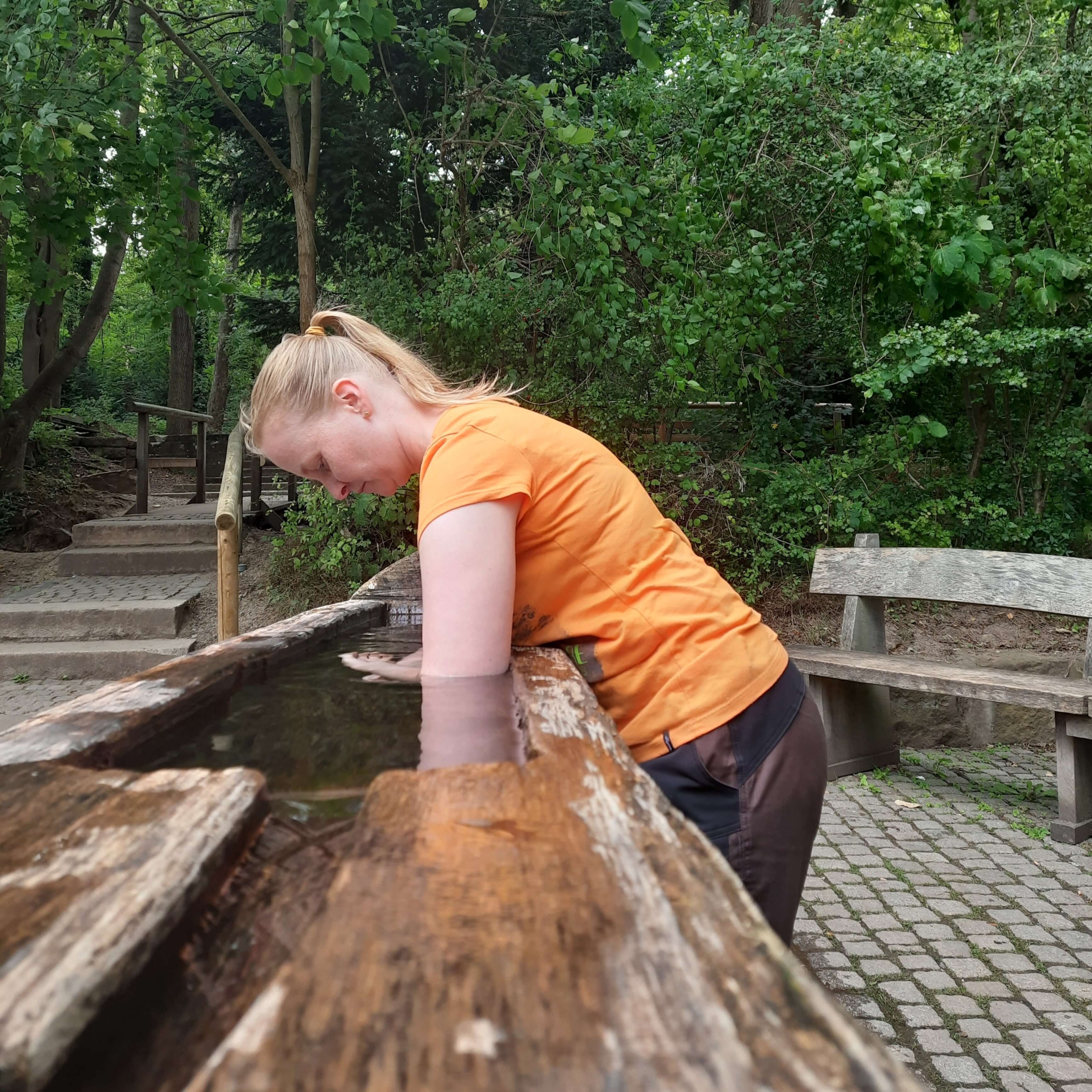 Kneippschen Armbad am Prinzenweg