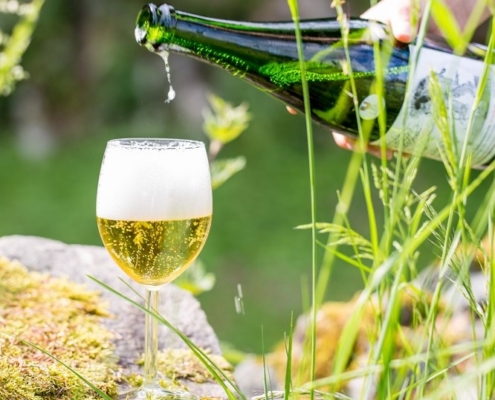 Ein Weinglas gefüllt mich Apfelchampagner.