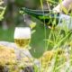 Ein Weinglas gefüllt mich Apfelchampagner.