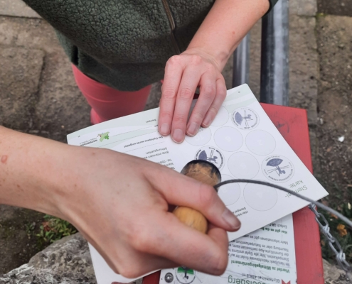 Gipfelstürmer Stempel am Brasselsberg