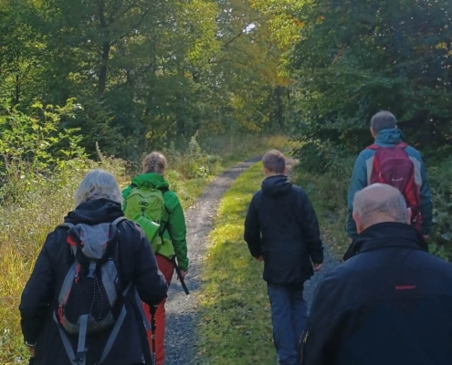 Fünf Personen wandern auf einem Waldweg durch einen sonnigen, grünen Wald. Sie tragen Rucksäcke und Outdoor-Kleidung, einige nutzen Wanderstöcke. Der Weg führt leicht bergauf und ist von Bäumen und dichtem Bewuchs umgeben.