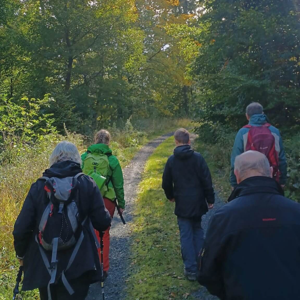 Fünf Personen wandern auf einem Waldweg durch einen sonnigen, grünen Wald. Sie tragen Rucksäcke und Outdoor-Kleidung, einige nutzen Wanderstöcke. Der Weg führt leicht bergauf und ist von Bäumen und dichtem Bewuchs umgeben.