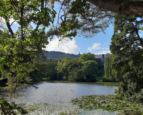 Blick zwischen Bäumen hindurch über den Schlossteich Lac auf den Herkules.