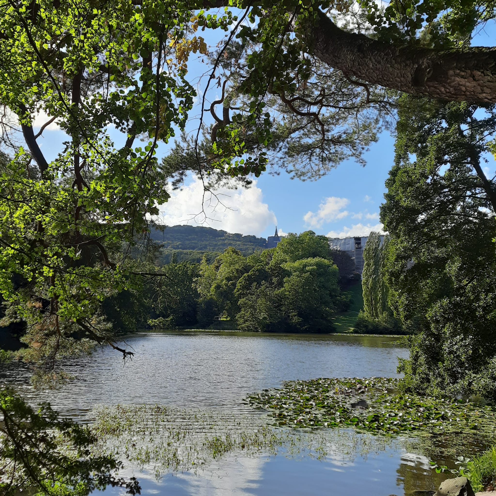 Blick zwischen Bäumen hindurch über den Schlossteich Lac auf den Herkules.